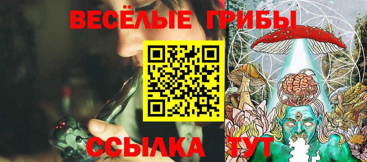Псилоцибиновые грибы ЛСД  Псилоцибиновые грибы GOLDEN TEACHER  Магнитогорск  Вход с VPN 